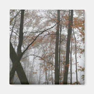 Nevelige herfst in Pennsylvania herfst natuur Magneet