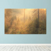 Nevelige ochtend canvas afdruk (Insitu (Houten vloer))