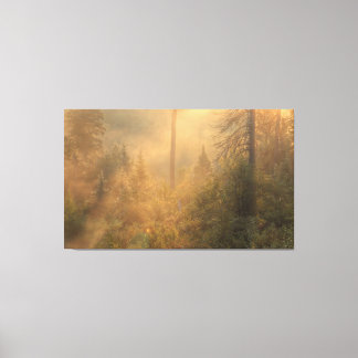 Nevelige ochtend canvas afdruk