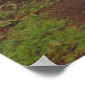 Nevelige ochtend, (Semi-Glans) Poster (Hoek)