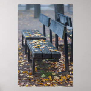 Nevelige ochtendparkbank, Duitsland Poster