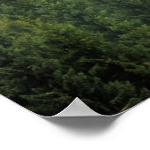 Nevelige pijnbomen bos landschap poster (Hoek)