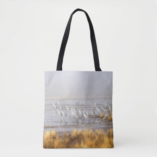 Nevelige Sandheuvelkraanvogels Tote Bag (Voorkant)