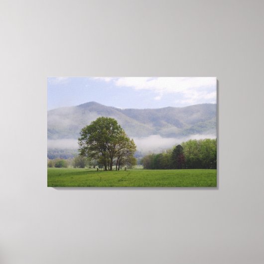 Nevelige weide en Rich Mountain, Cades Cove, Canvas Afdruk (Voorkant)