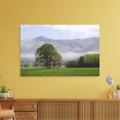 Nevelige weide en Rich Mountain, Cades Cove, Canvas Afdruk (Insitu (Woonkamer))