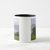 Nevelige weide en Rich Mountain, Cades Cove, Mok (Midden)