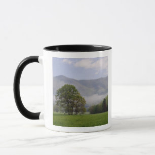 Nevelige weide en Rich Mountain, Cades Cove, Mok