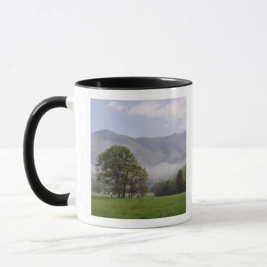 Nevelige weide en Rich Mountain, Cades Cove, Mok (Links)