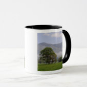 Nevelige weide en Rich Mountain, Cades Cove, Mok (Voorkant rechts)