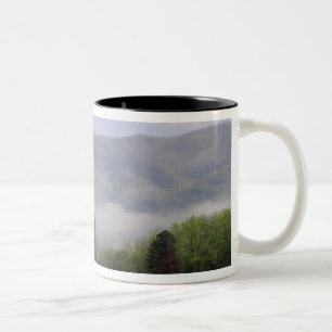 Nevelige weide en Rich Mountain, Cades Cove, Tweekleurige Koffiemok