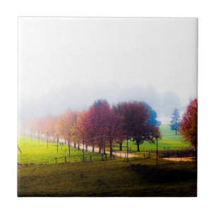 Nevelige weide in de herfst tegeltje