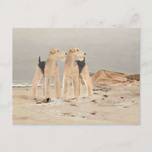 Nevelige Zeekust Briefkaart (Voorkant)