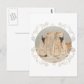 Nevelige Zeezijde Briefkaart (Voorkant / Achterkant)