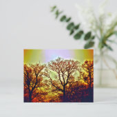 NEVELIGE ZONNEBOMEN BRIEFKAART (Staand voorkant)