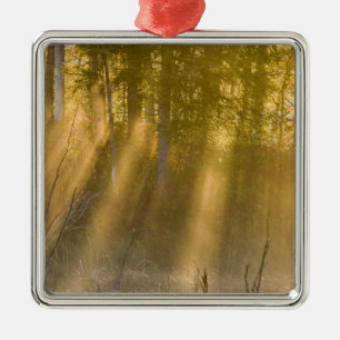Nevelige zonsopgang bij Tamarac NWR bij Detroit La Metalen Ornament