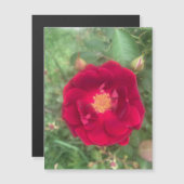 nevelmagneet voor Roos (Voorkant / Achterkant)