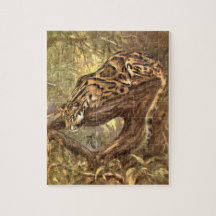Nevelpanter door CE Swan, Vintage Wilde Dieren