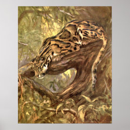 Nevelpanter door CE Swan, Vintage Wilde Dieren Poster