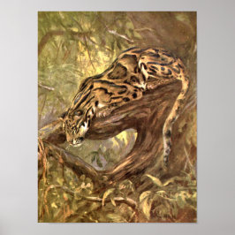 Nevelpanter door CE Swan, Vintage Wilde Dieren Poster