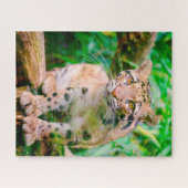 Nevelpanter Grote Katachtige Legpuzzel (Horizontaal)