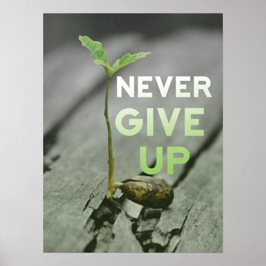 Never Give up Poster (Voorkant)