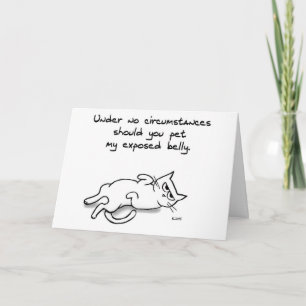 Never Pet the Cat Belly - Een leuk Wenskaart Kaart