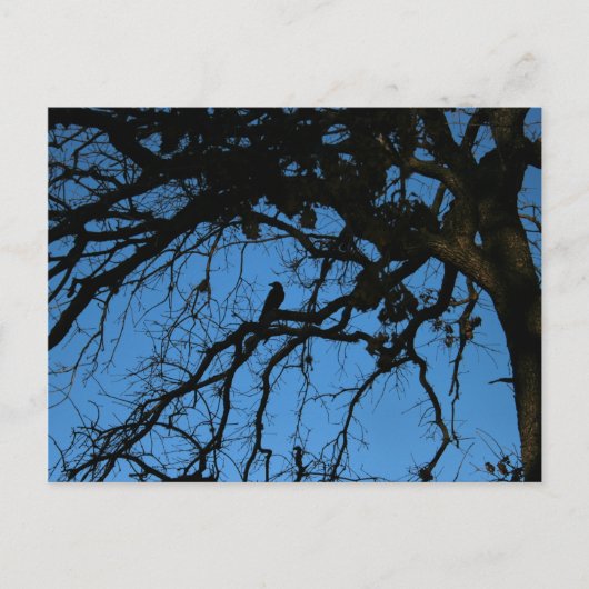 Nevermore Briefkaart (Voorkant)