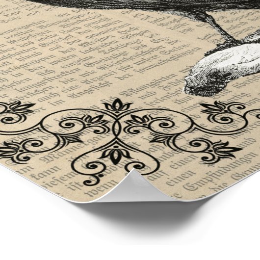 Nevermore, Raven, Edgar Allan Poe poster (Hoek)