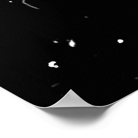 Nevermore Raven of Edgar Allan Poe Poster (Hoek)