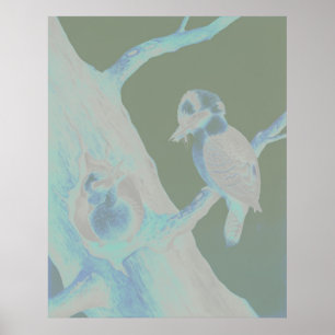 Neville HP Cayley - Laughing Kookaburra Poster