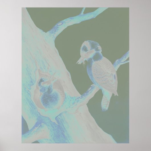 Neville HP Cayley - Laughing Kookaburra Poster (Voorkant)