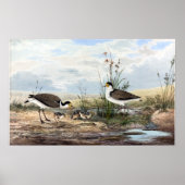 Neville HP Cayley Mask Lapwing  Poster (Voorkant)