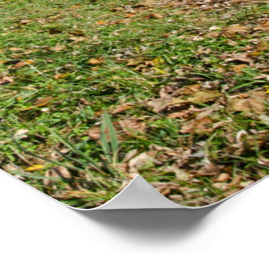 Nevins Covered Bridge Parke County Indiana Poster (Hoek)