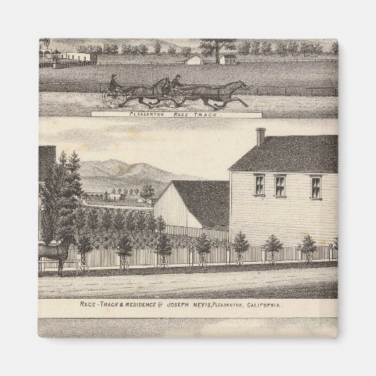 Nevis, groene woningen, boerderijen magneet (Voorkant)