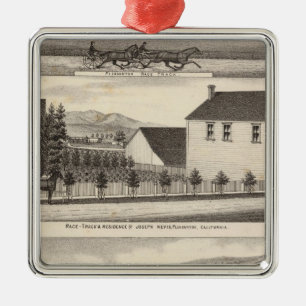 Nevis, groene woningen, boerderijen metalen ornament