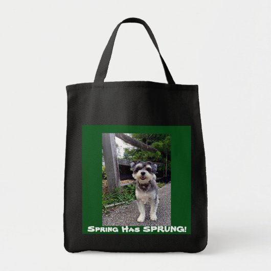 *NEW* 2015 Lente heeft SPRUNG! Carmine Winston tas (Voorkant)