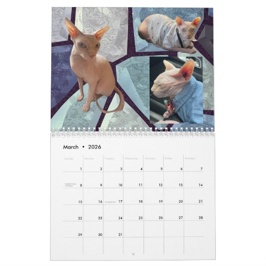 New 2026 Calendar Kalender (Mar 2026)