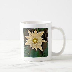 new age Zen Boeddhisme Yoga Namaste White Lotus Koffiemok