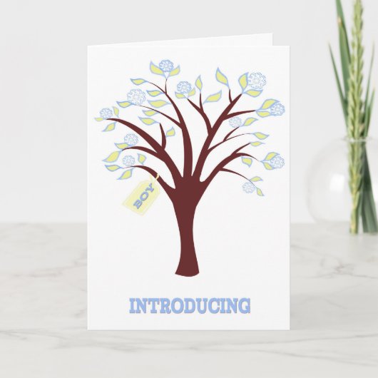 New Baby Boy Aankondiging (Voorkant)