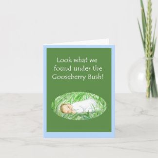 New Baby Boy Announcement Kaart - Gooseberry Strui