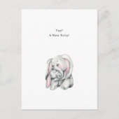 New Baby Quote With Elephant Illustration Briefkaart (Voorkant)