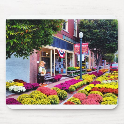 New Bern, North Carolina Muismat (Voorkant)