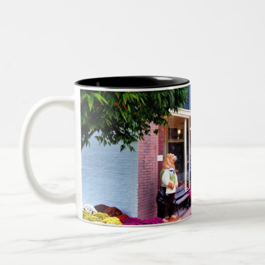 New Bern, North Carolina Tweekleurige Koffiemok (Links)