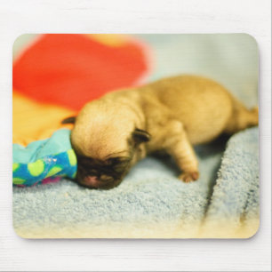 New Born Baby Pug Dog Muismat