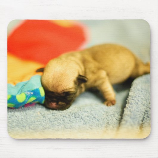 New Born Baby Pug Dog Muismat (Voorkant)