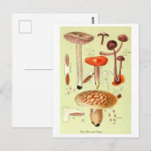  "New British Fungi" Paddestoel Briefkaart (Voorkant / Achterkant)
