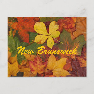 New Brunswick Autumn Leaves Briefkaart