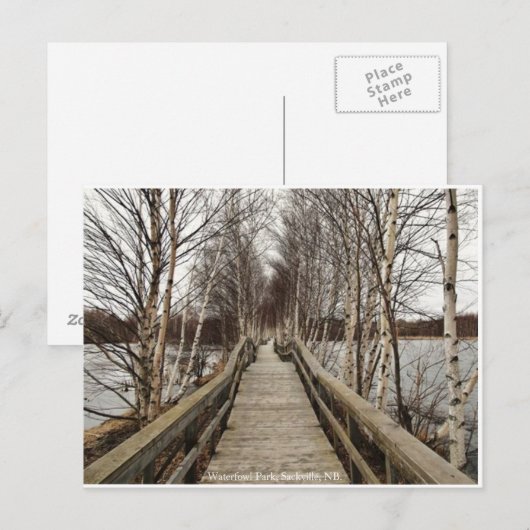 New Brunswick, Canada Briefkaart (Voorkant / Achterkant)