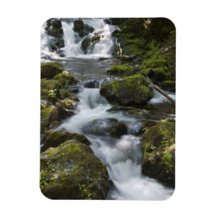 New Brunswick, Canada. Dickson Falls in Fundy Magneet