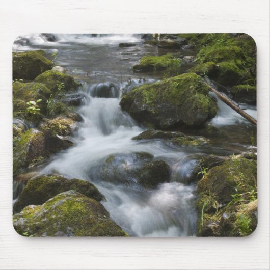 New Brunswick, Canada. Dickson Falls in Fundy Muismat (Voorkant)